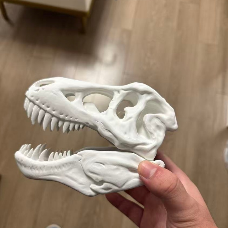 3D Printed Tyrannosaurus Rex S - 3D Printing Enthusiast recension och pris